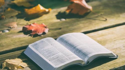 离婚的句子说说心情