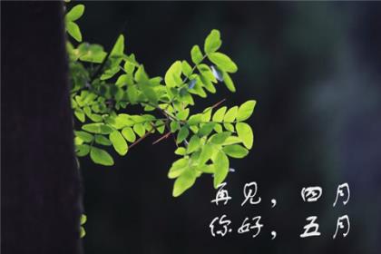 跑步经典语录