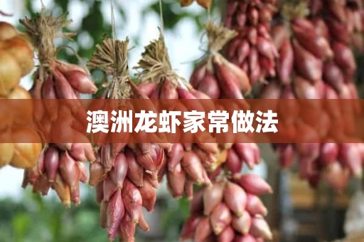 澳洲龙虾家常做法 澳洲龙虾家常做法