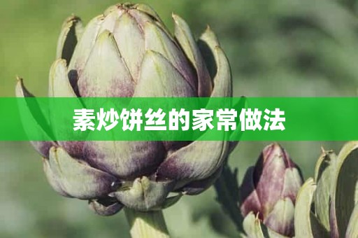 素炒饼丝的家常做法 素炒饼丝的家常做法