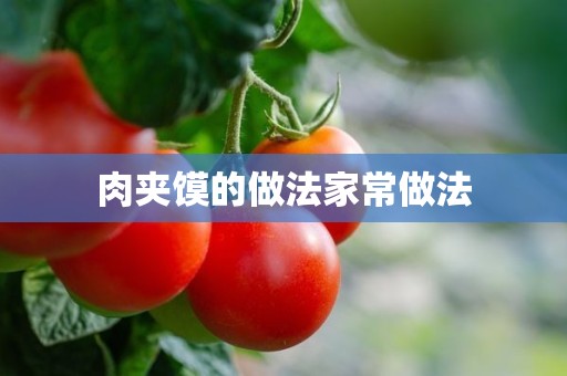 肉夹馍的做法家常做法 肉夹馍的做法家常做法