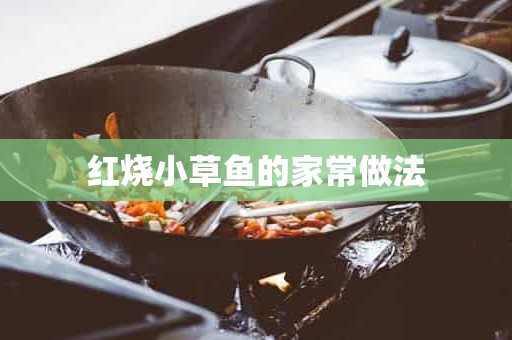 红烧小草鱼的家常做法 红烧小草鱼的家常做法