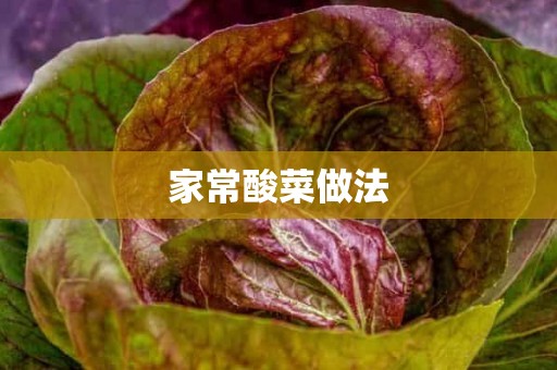 家常酸菜做法 家常酸菜做法