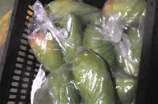 手机芒果tV怎样连接智能电视