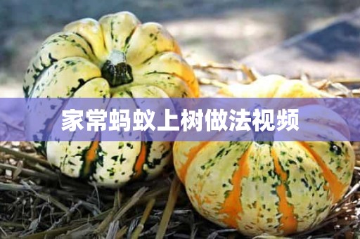 家常蚂蚁上树做法视频 家常蚂蚁上树做法视频