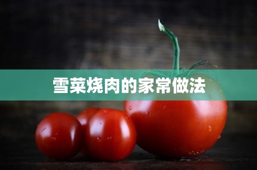 雪菜烧肉的家常做法 雪菜烧肉的家常做法