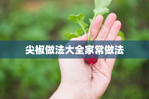 尖椒做法大全家常做法 尖椒做法大全家常做法