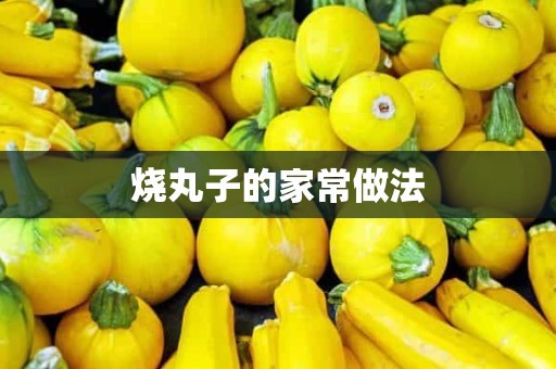 烧丸子的家常做法 烧丸子的家常做法
