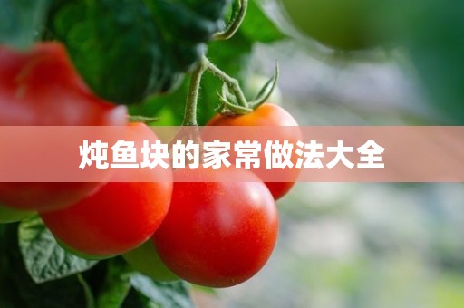 炖鱼块的家常做法大全 炖鱼块的家常做法大全