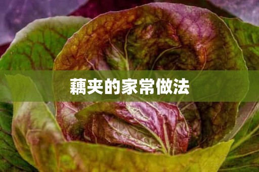 藕夹的家常做法 藕夹的家常做法