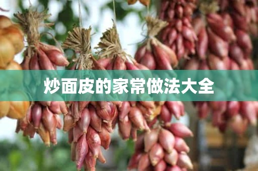 炒面皮的家常做法大全 炒面皮的家常做法大全