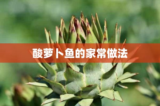 酸萝卜鱼的家常做法 酸萝卜鱼的家常做法
