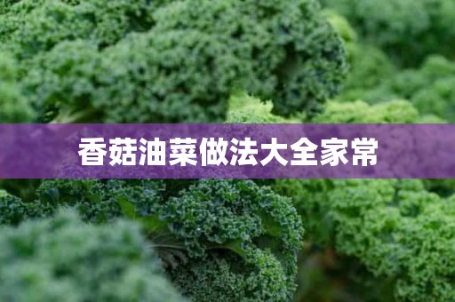 香菇油菜做法大全家常
