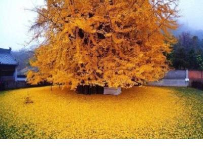 无聊的句子说说心情