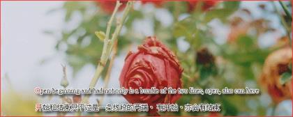 人倒霉的说说心情短语