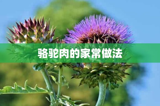 骆驼肉的家常做法 骆驼肉的家常做法