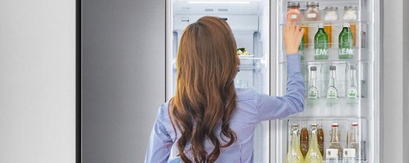 樟脑丸放在冰箱去异味可以吗