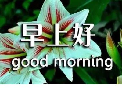 顽强的造句