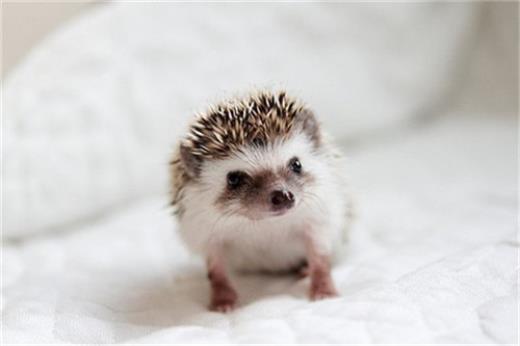 微信说说一个人心情好