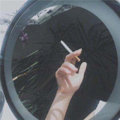 爱情公寓的经典语录