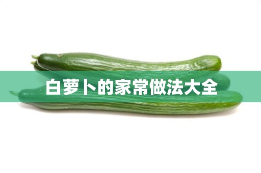 白萝卜的家常做法大全 白萝卜的家常做法大全