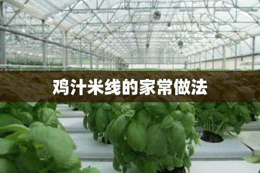 鸡汁米线的家常做法 鸡汁米线的家常做法