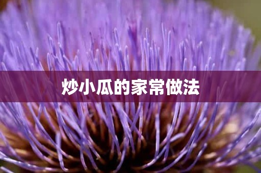 炒小瓜的家常做法 炒小瓜的家常做法