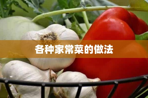 各种家常菜的做法 各种家常菜的做法
