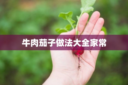牛肉茄子做法大全家常 牛肉茄子做法大全家常