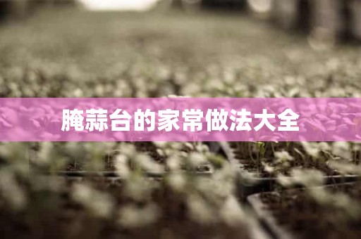 腌蒜台的家常做法大全 腌蒜台的家常做法大全
