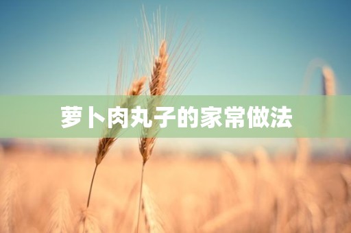 萝卜肉丸子的家常做法 萝卜肉丸子的家常做法