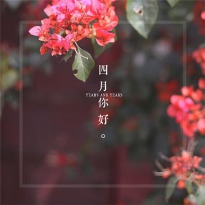 关于爱情的句子简短
