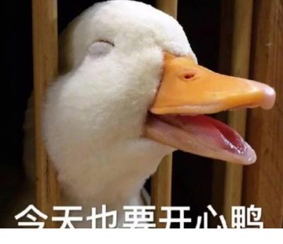 美好的家庭全文免费阅读