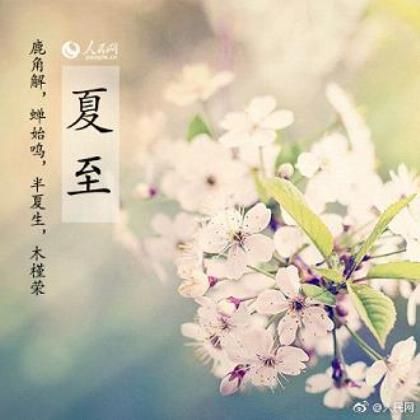 赞美龙凤胎的精辟短句