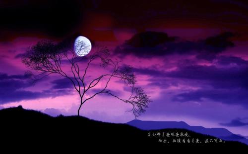 适合发朋友圈的励志句子
