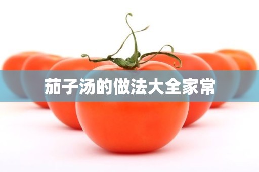 茄子汤的做法大全家常 茄子汤的做法大全家常