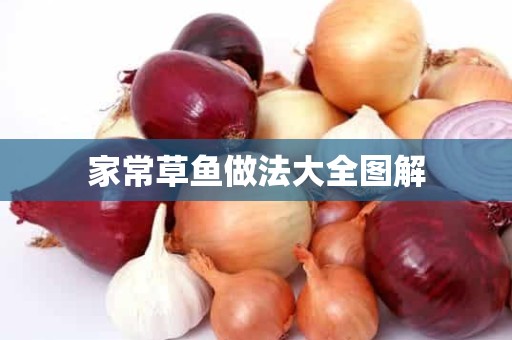 家常草鱼做法大全图解 家常草鱼做法大全图解