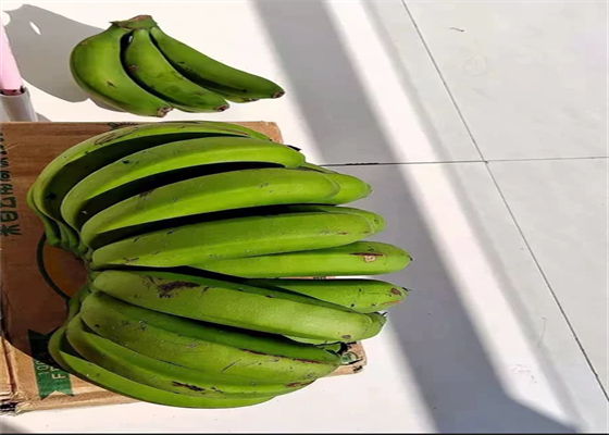 黄瓜香蕉汁功效和作用