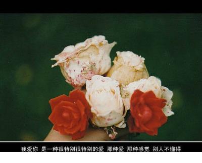 2023倒计时励志说说