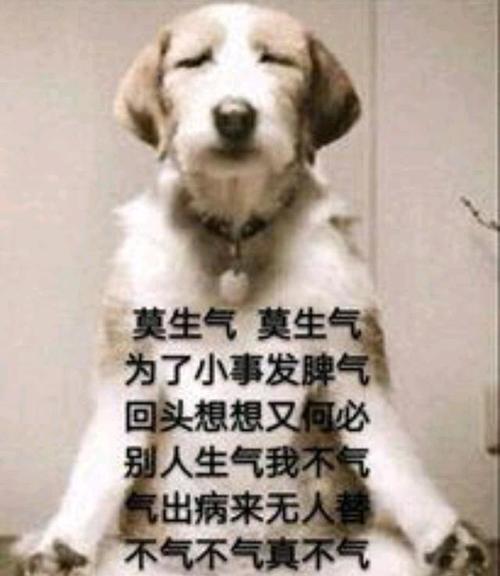 无理之人,(无理之人我亦无理待之)