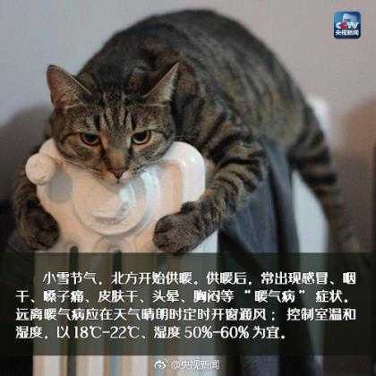 晚安激励正能量的句子