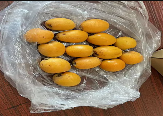 琵琶行内容概括简洁 琵琶行内容概括简洁