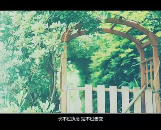 董卿朗读者经典语录