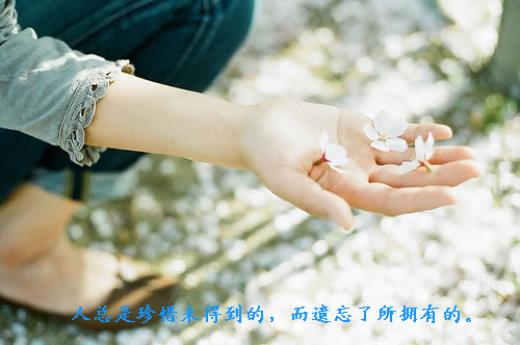 一句话打动人心的说说