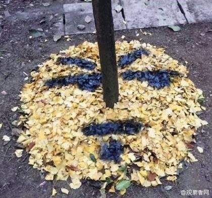 一生只够爱一人抖音