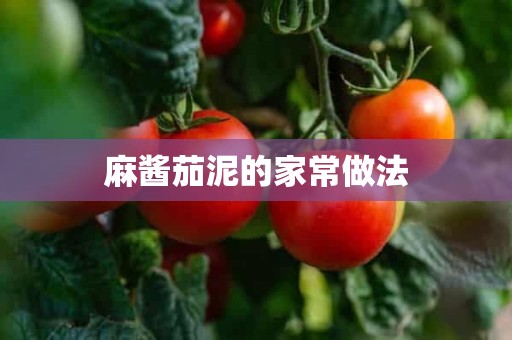 麻酱茄泥的家常做法 麻酱茄泥的家常做法