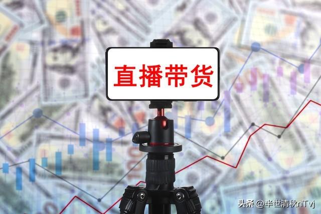 什么叫网红?什么样的人才是网红?任其发展下去会有什么后果?