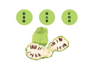 解锁苦瓜的神奇力量,焕发健康光芒! 解锁苦瓜的神奇力量,焕发健康光芒!