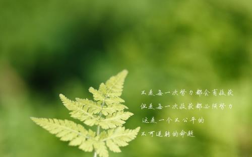 平安夜说说大全平安夜图片