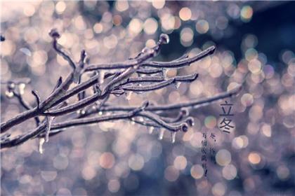 描写春雨的句子和段落